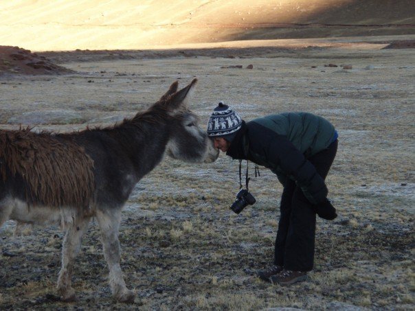 295026_253632154659985_7779269_n-2