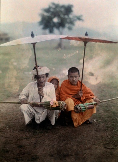 NGS Picture ID:608852