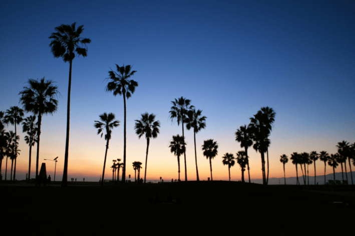 Screen Shot 2014-03-02 at 10.45.54 AM