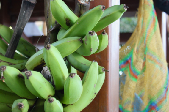 Screen Shot 2014-03-03 at 1.01.17 AM