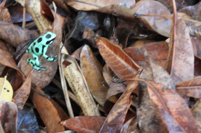 Screen Shot 2014-03-03 at 1.50.31 PM