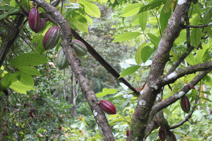 Screen Shot 2014-03-03 at 12.40.01 AM