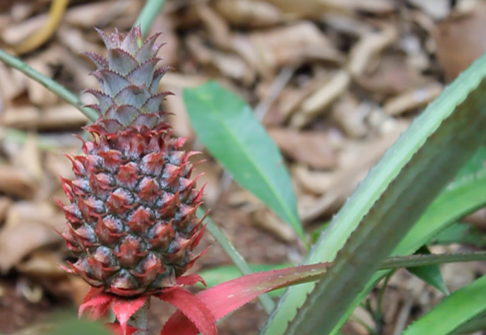 Screen Shot 2014-04-18 at 2.06.30 AM