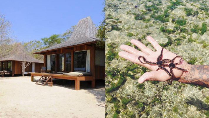 The_Menjangan_accommodation