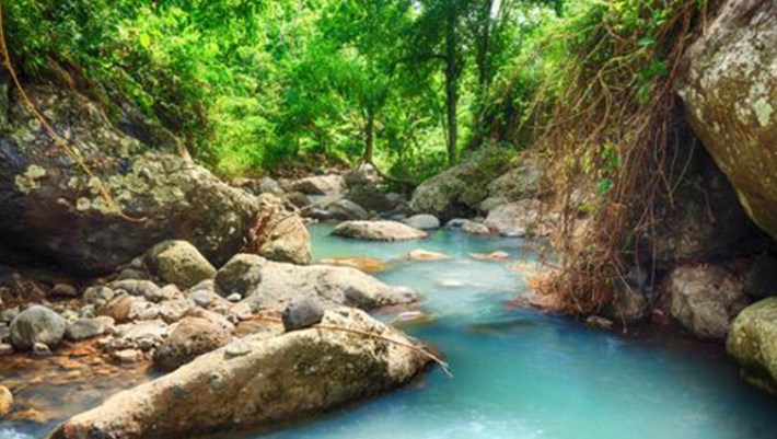 Mount-Batukaru-Valley