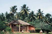 Bungalow hut accommodation in Kerala