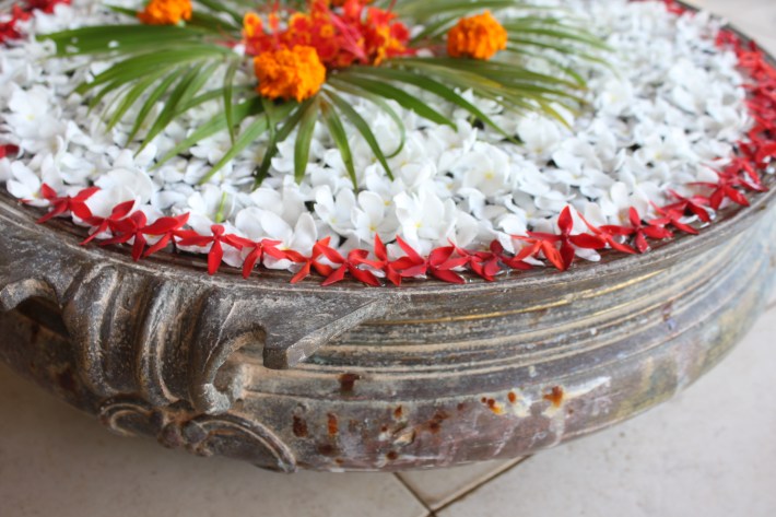 Flower bowl at Estuary Island