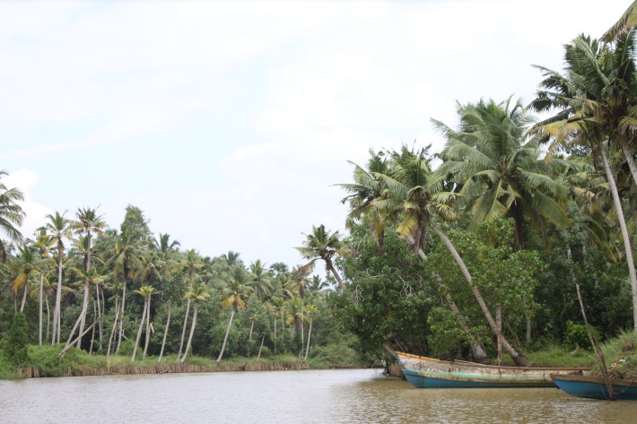 Backwaters of Neyyar isthmus behind Poovar Golden Beach